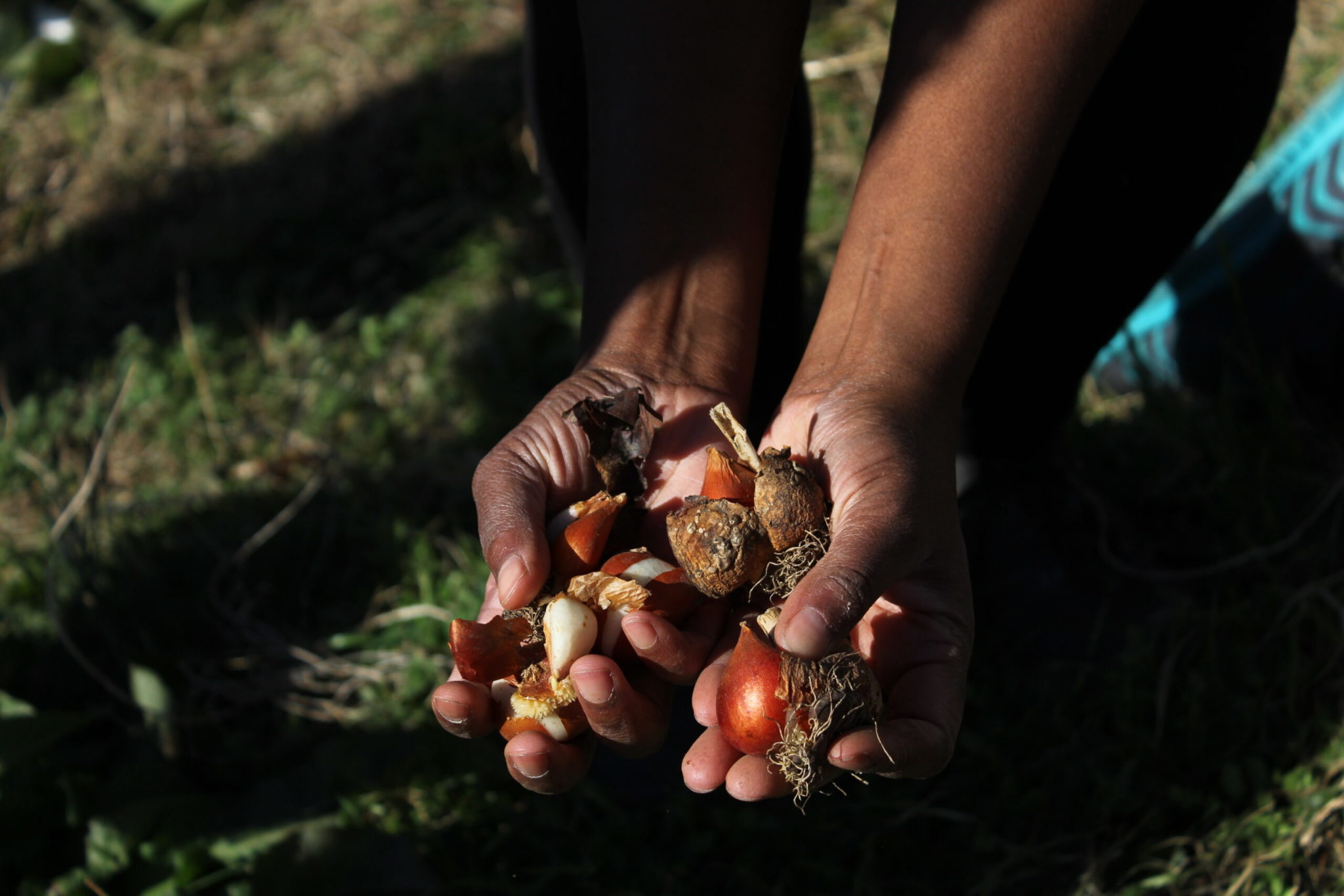 Honoring culture and exploring justice to unearth joy | Unearthing Joy 